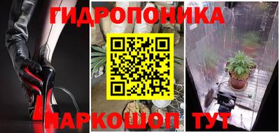 молекула духа Краснодар