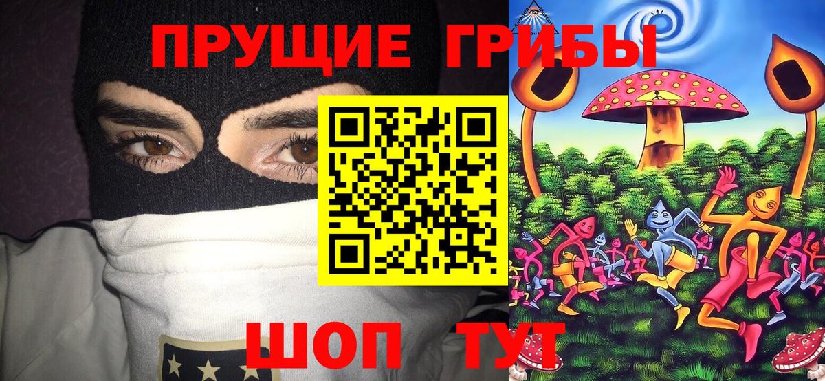 Псилоцибиновые грибы мицелий Вятские Поляны