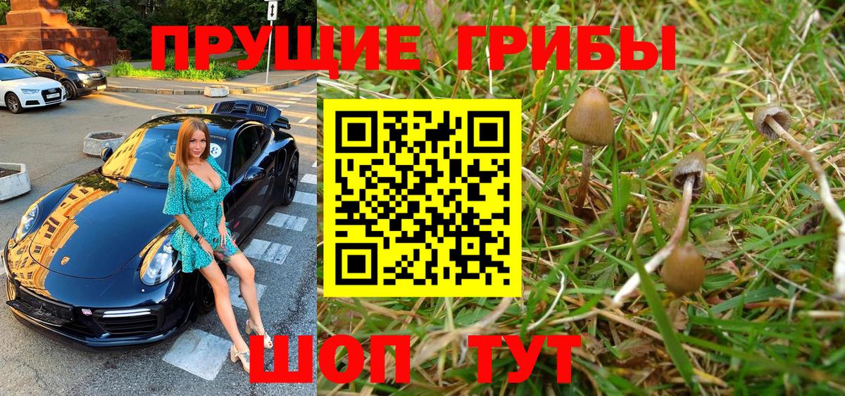 Вятские Поляны  Псилоцибиновые грибы GOLDEN TEACHER  хочу наркоту  Вход с VPN 