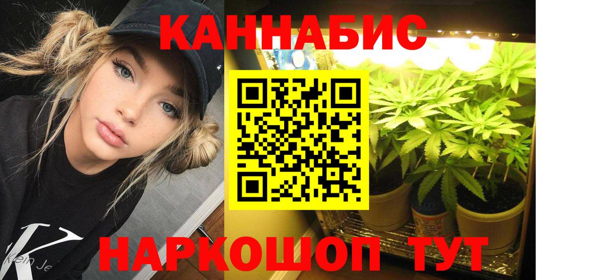 Канабис тримм Вятские Поляны